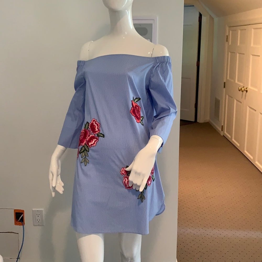 Zara rose embroidered off the shoulder mini dress